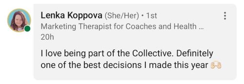 Image of LinkedIn comment from Lenka Koppova: I love being part of the Collective. Definitely one of the best decisions I made this year 